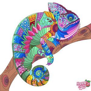 Meet your Posher, E diane